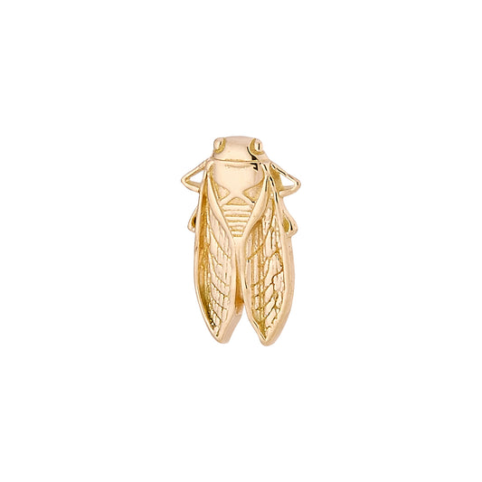 DT247 Cicada (7.5mm x 4mm)