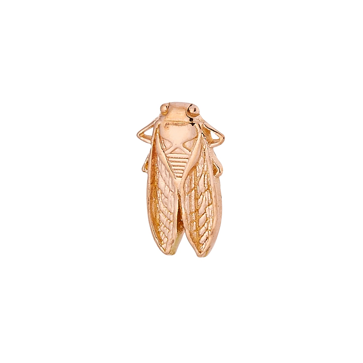 DT247 Cicada (7.5mm x 4mm)