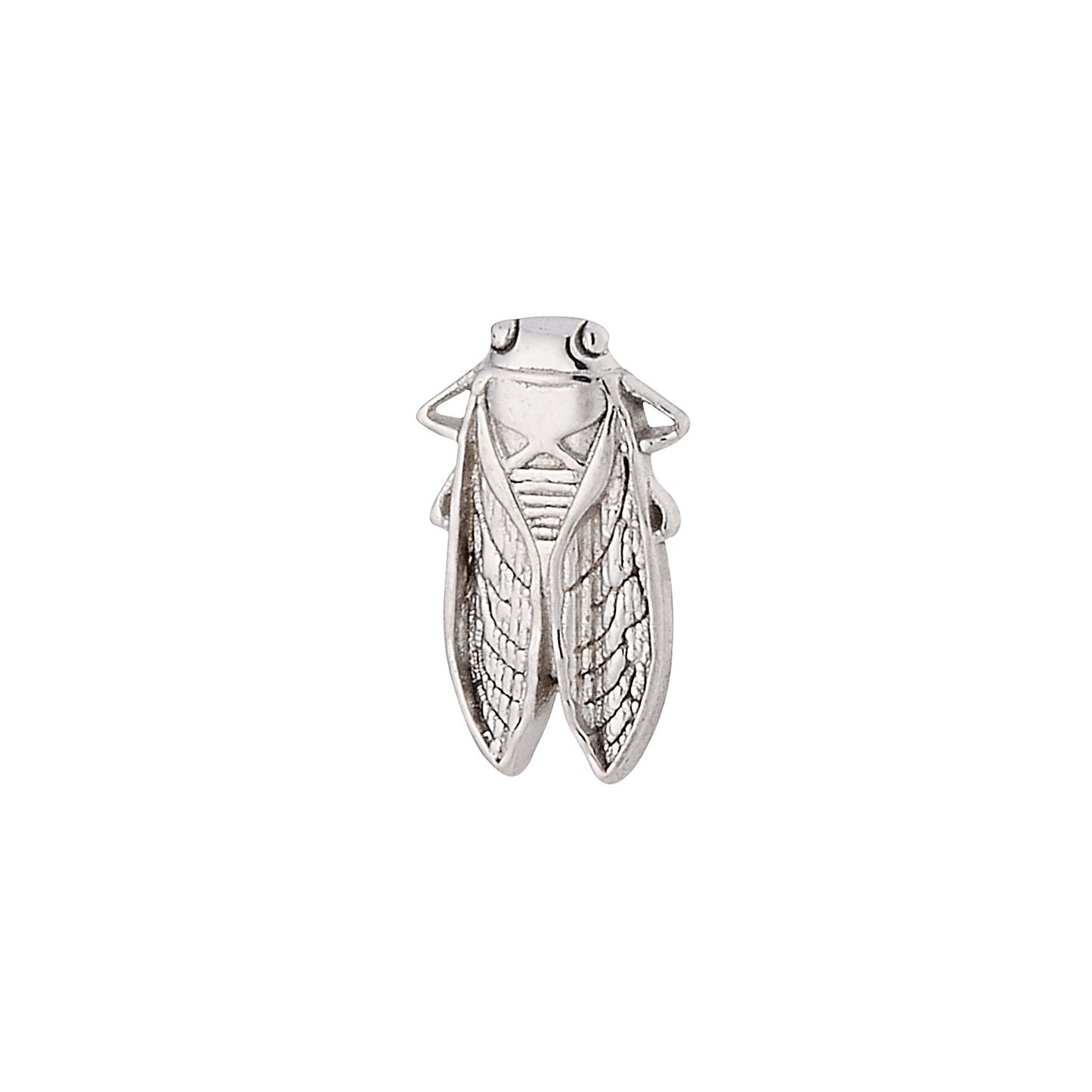 DT247 Cicada (7.5mm x 4mm)