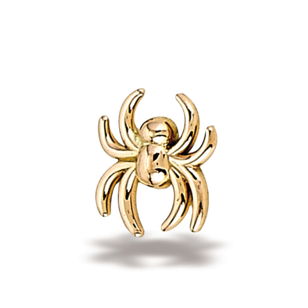 DT041 Spider
