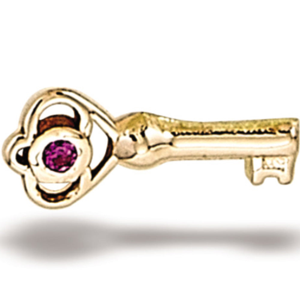 DT101 Skeleton Key 7.4mm x 3.25mm