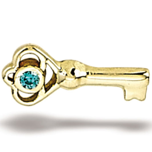 DT101 Skeleton Key 7.4mm x 3.25mm
