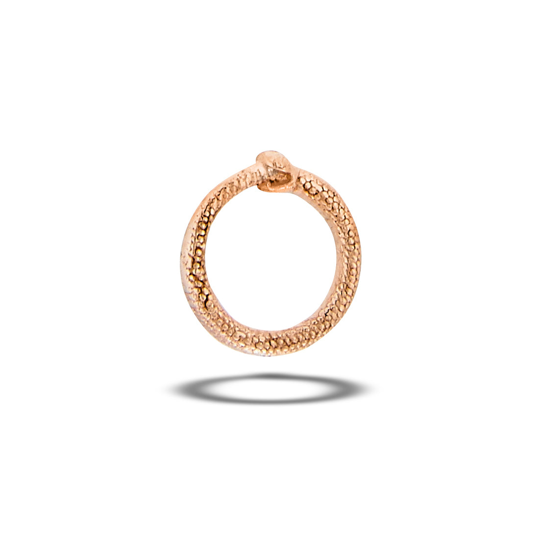 DT188 Circle Snake