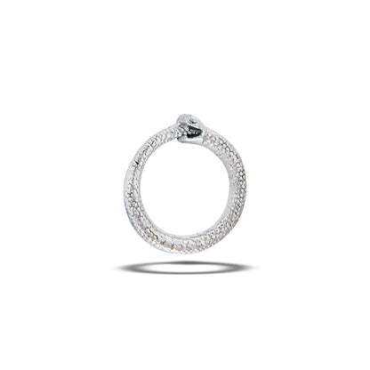 DT188 Circle Snake