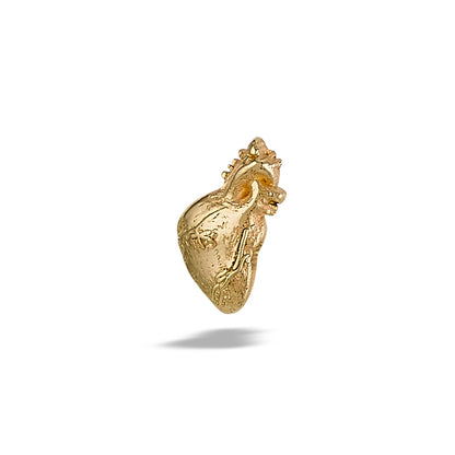 DT204 Anatomical Heart 7mm x 5mm