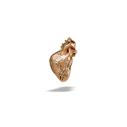DT204 Anatomical Heart 7mm x 5mm
