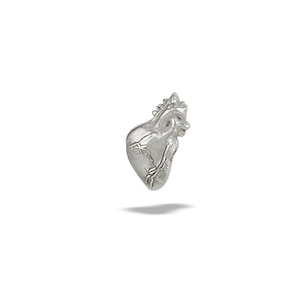 DT204 Anatomical Heart 7mm x 5mm