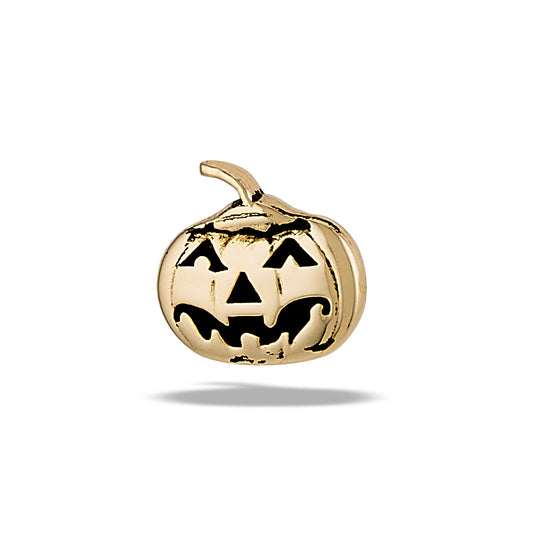 DT213 Pumpkin