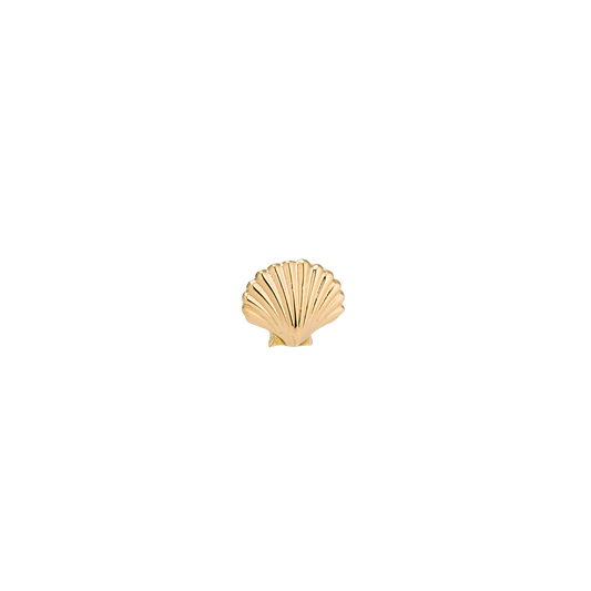DT267 Scallop Shell (4.8mm x mm)