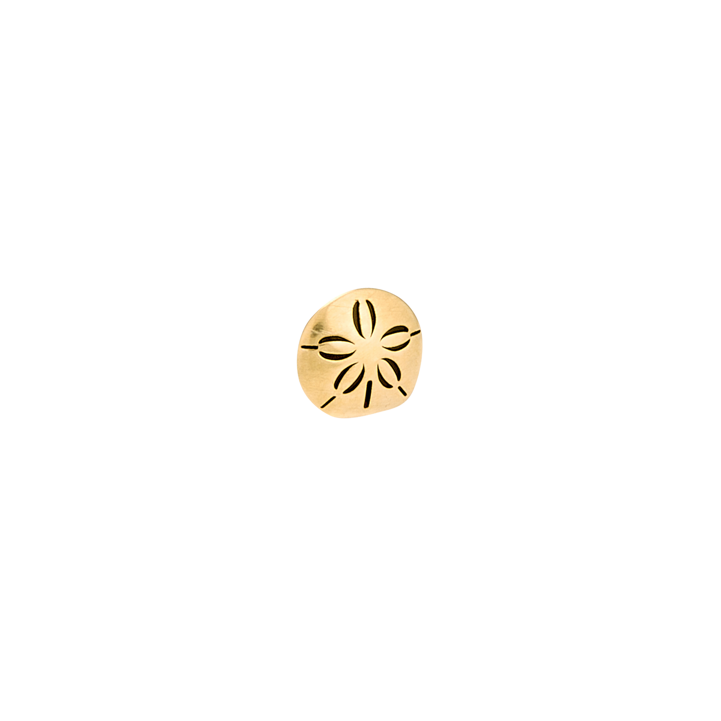 DT268 Sand Dollar (5.5mm)