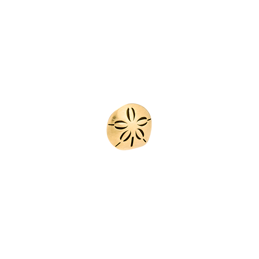 DT268 Sand Dollar (5.5mm)