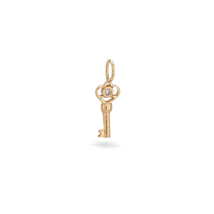 EN101 Skeleton Key 1mm st (7.4x3.25)-Enhancer