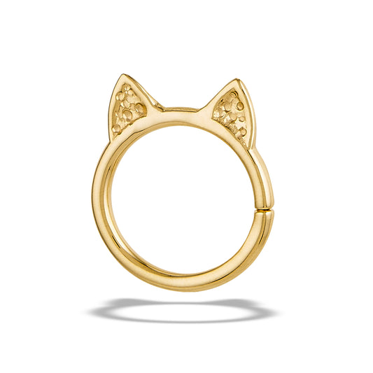 MEOW-HAMMERED